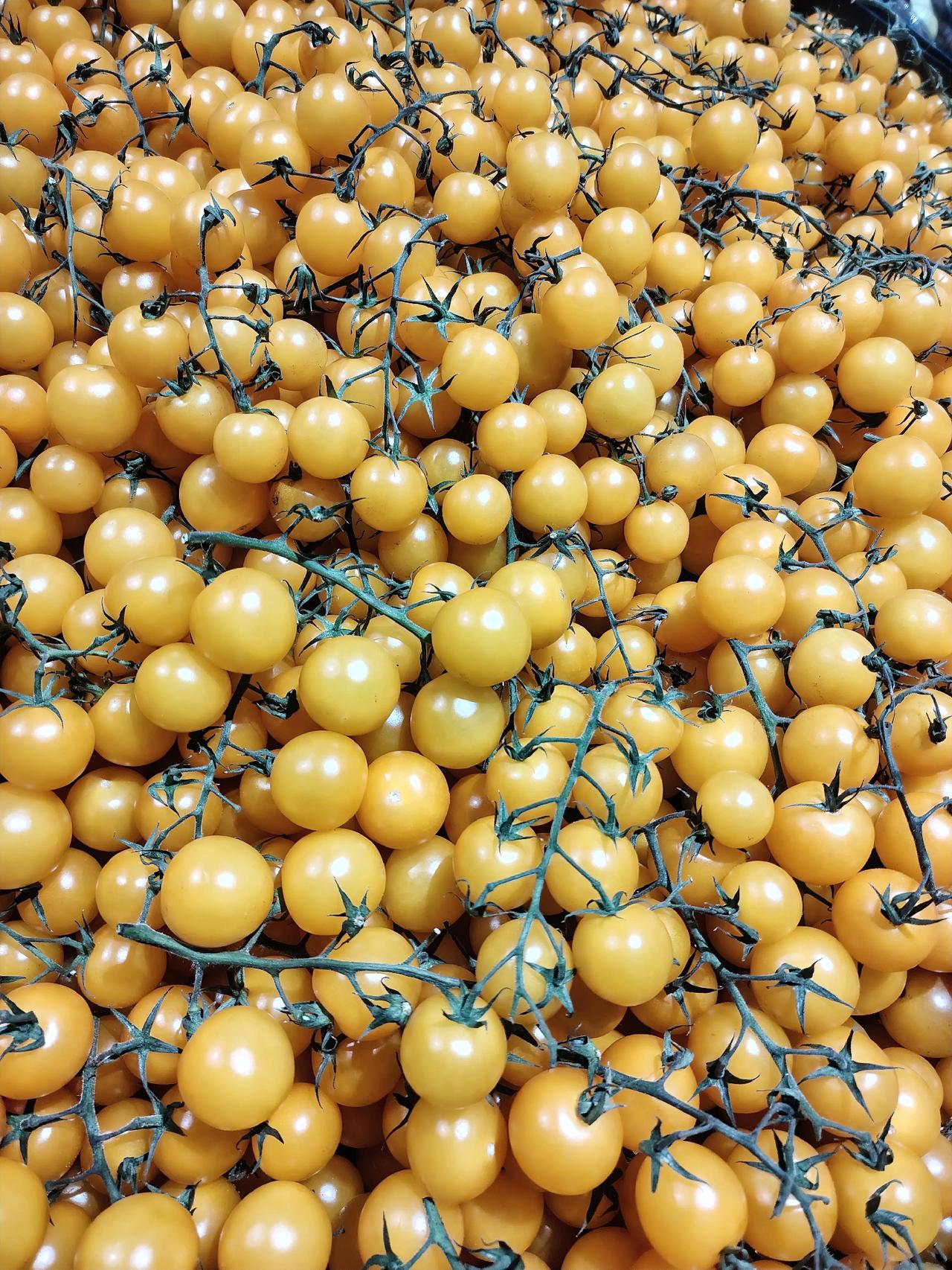 有些父母很可怜，

孩子已经是一个白眼狼了，

但他们还心存幻想，

认为孩子现