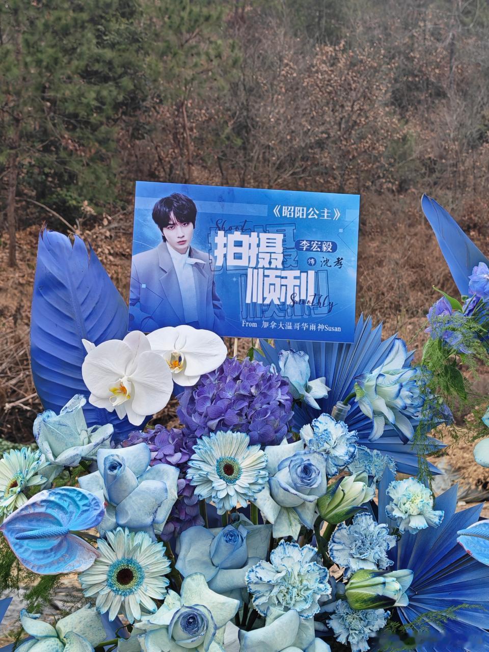 李宏毅李宏毅沈孝 lhy李宏毅昭阳公主 谢谢给我拍的，我人虽未到，但处处都有我的