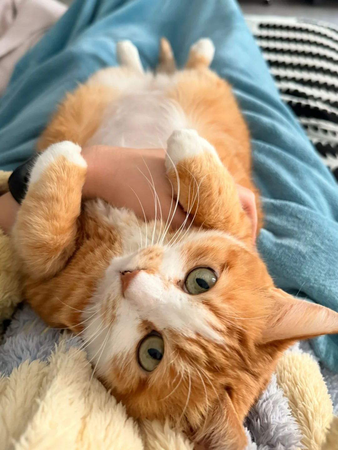 很喜欢的一张照片