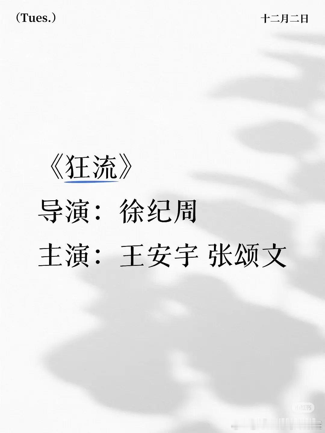 大饼，王安宇、张颂文将合作《狂流》，导演是徐纪周（代表作《狂飙》） 