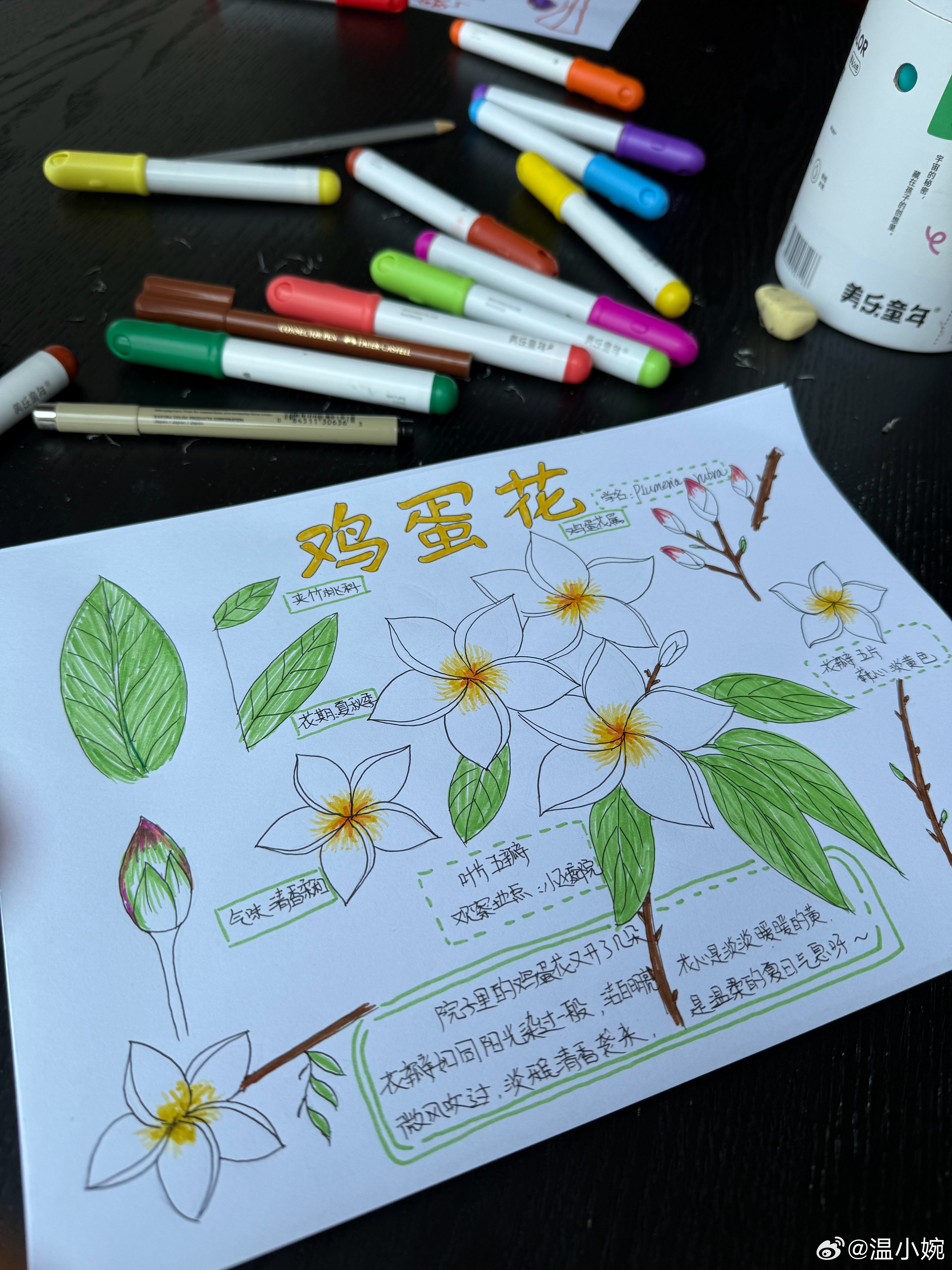 正在帮孩子疯狂补作业 ​​​