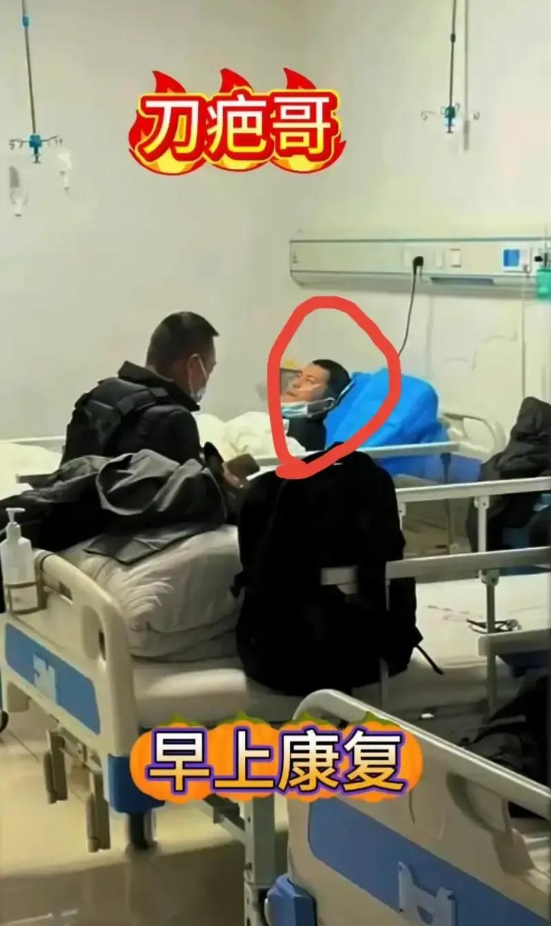 刀疤哥刚在七星山啃完三天树皮草根，裁判一句晋级把他乐成表情包，结果第二天凌晨他抱