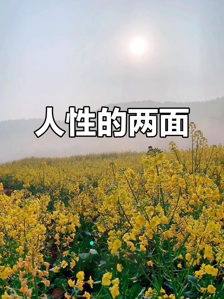 人性的两面
       人性如硬币，有正反两面。我曾在公交车上遇一事，老人上车