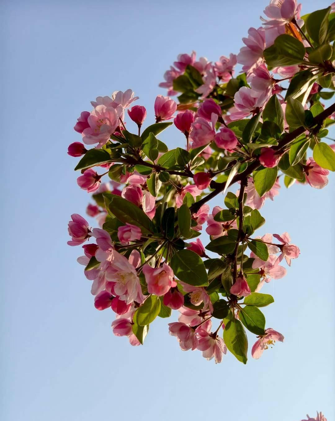 别看太阳偶尔露个脸，这春寒最藏坑，稍不注意就容易感冒。出门多穿一层不丢人，少减一