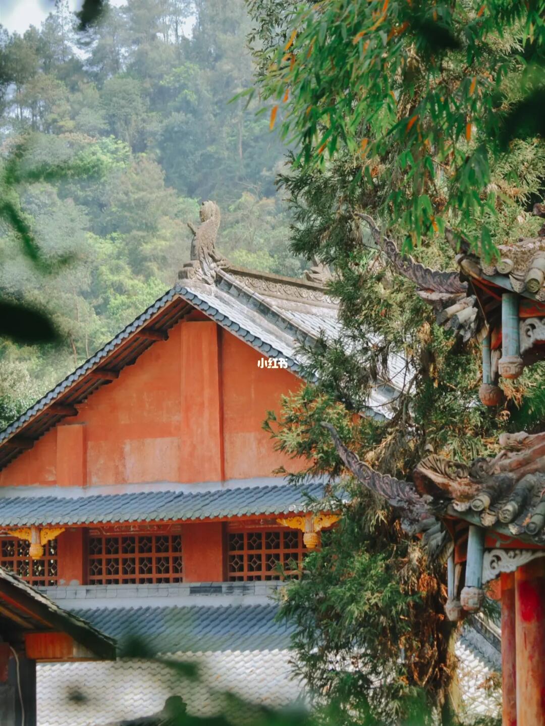 成都徒步竹林寺 | 重走李白苏轼古迹秘境