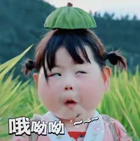 告诉桃花不用开了，让发财树开一下，谢谢。日本网传地震为中国人为制造