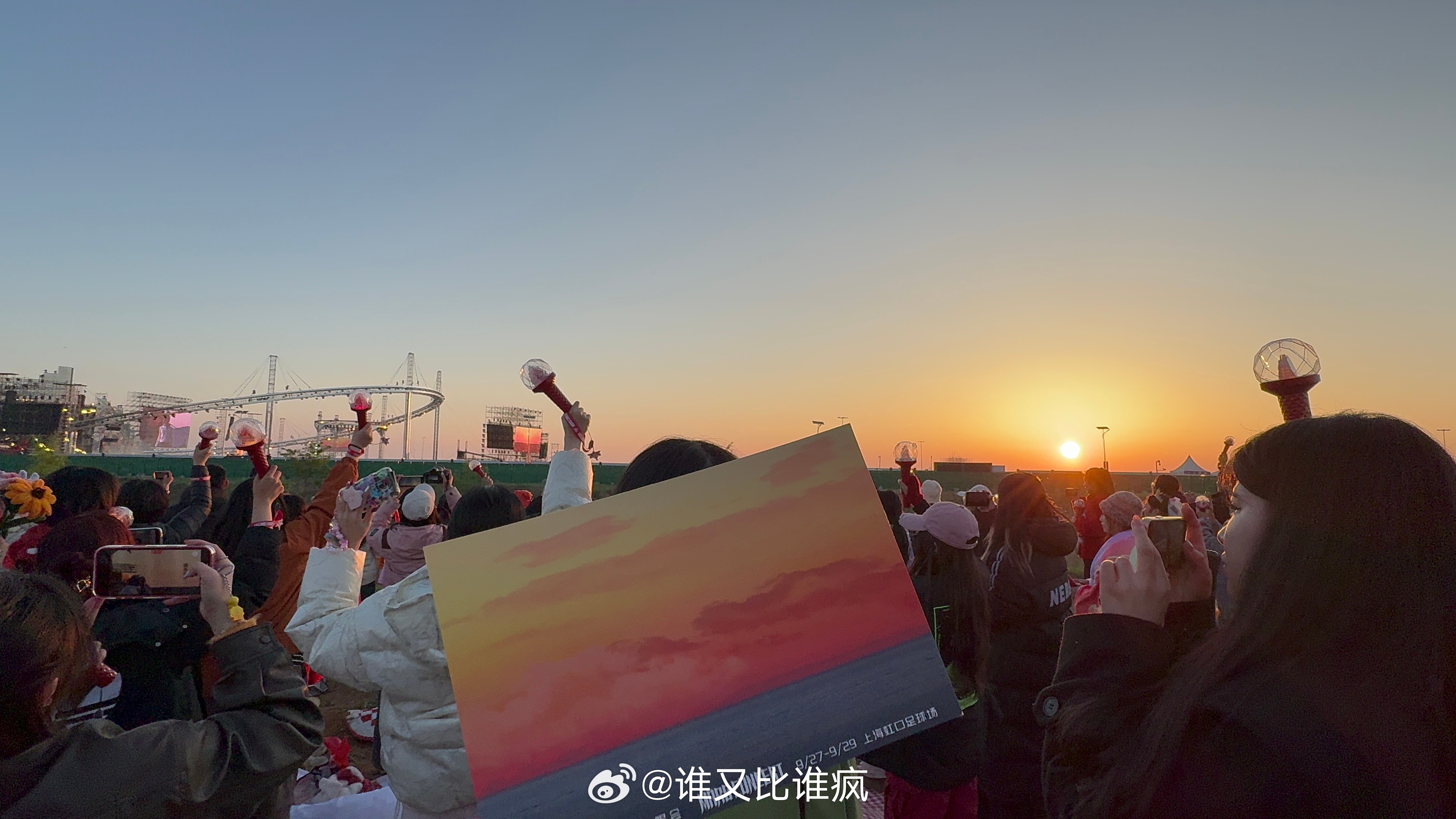 小花 太阳升起的时候我们一定都会比前一天更加幸福 