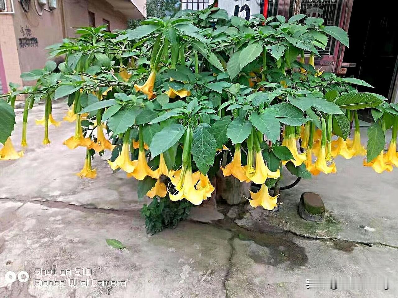 我没睡着。看了一下全球中华小姐的选拔。你们也太不尊重妇女了。难看那得看放哪。人家