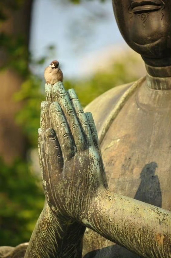 你的善良，人不知，天知。说不定哪一天会变成你人生路上的惊喜和好运。烤鱼店老板投喂