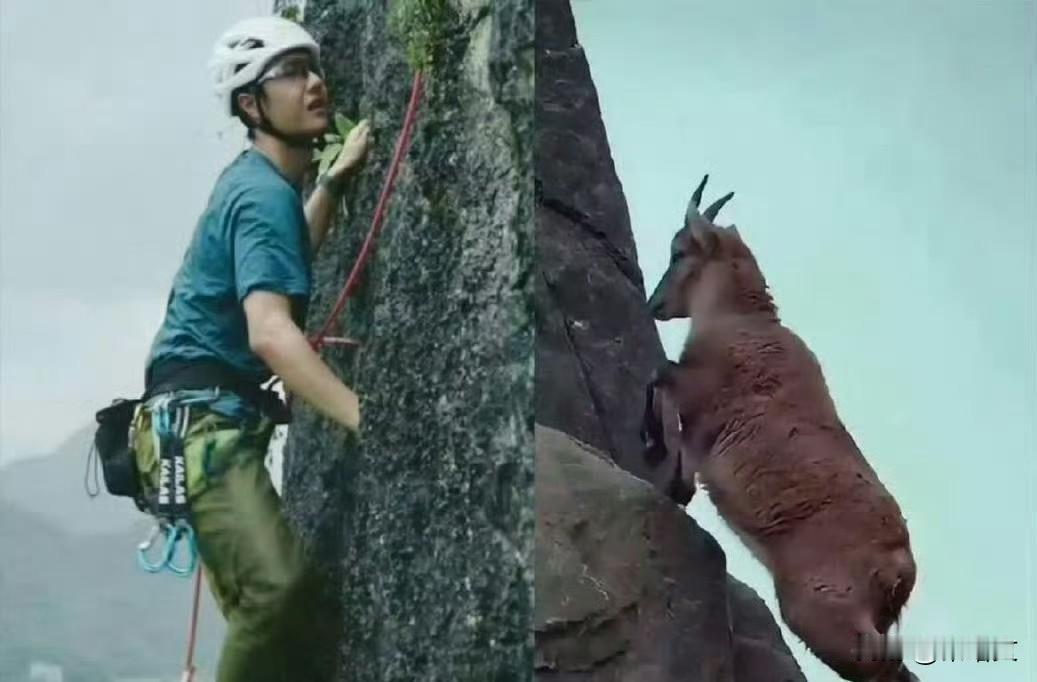 《疯狂动物城2》岩羊火了！绿色攀岩服+专注脸，这不就是王一博本羊？
 
《疯狂动