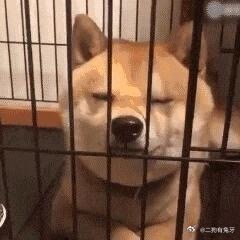 好离谱[作揖]这世界就是个巨大的草台班子万能卡给到了一个醉汉手上事后就想轻飘飘过