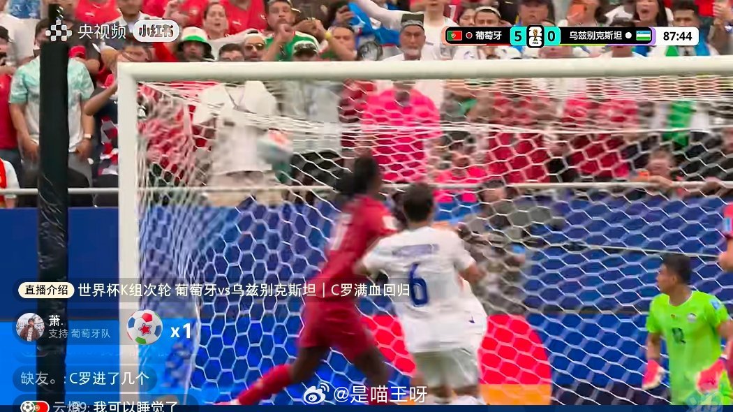 葡萄牙vs乌兹别克斯坦5:0！！！ 