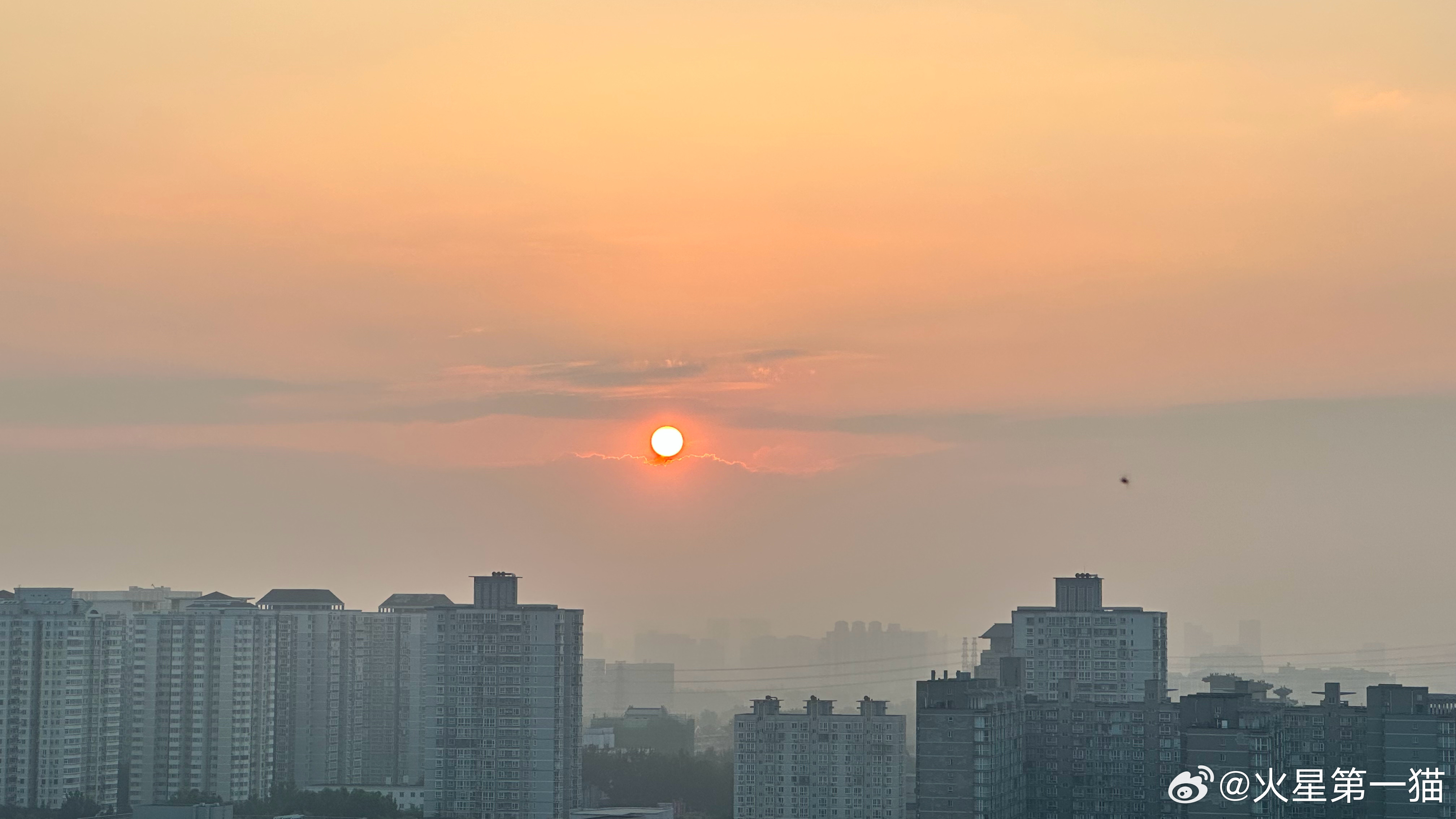 5:31 晨兴启蓬户，当面来清风。         初日丽乔林，光影尤玲珑。  