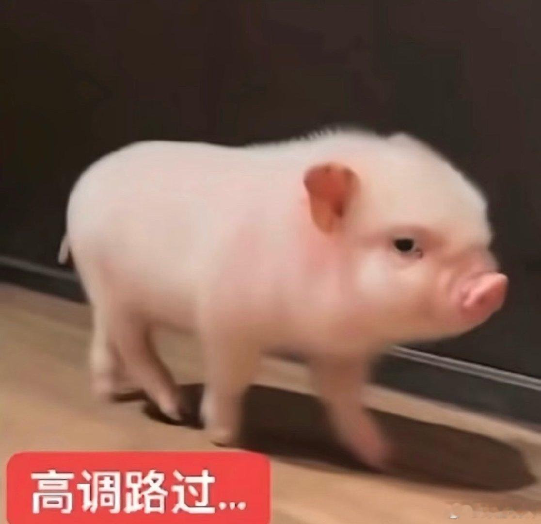 大家去买珍珠雪吧 没有为啥 就想让大家买 ​​​