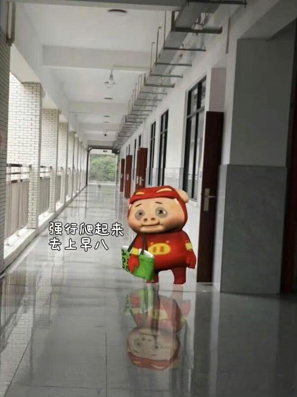 大学生的早八闹钟能有多抽象 那简直是“梦境破坏者”合集！有模仿公鸡打鸣的，有放恐
