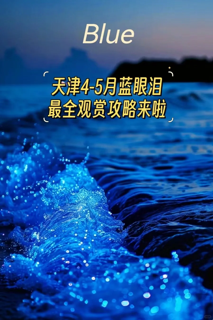天津蓝眼泪来啦，最全攻略，快收藏起来