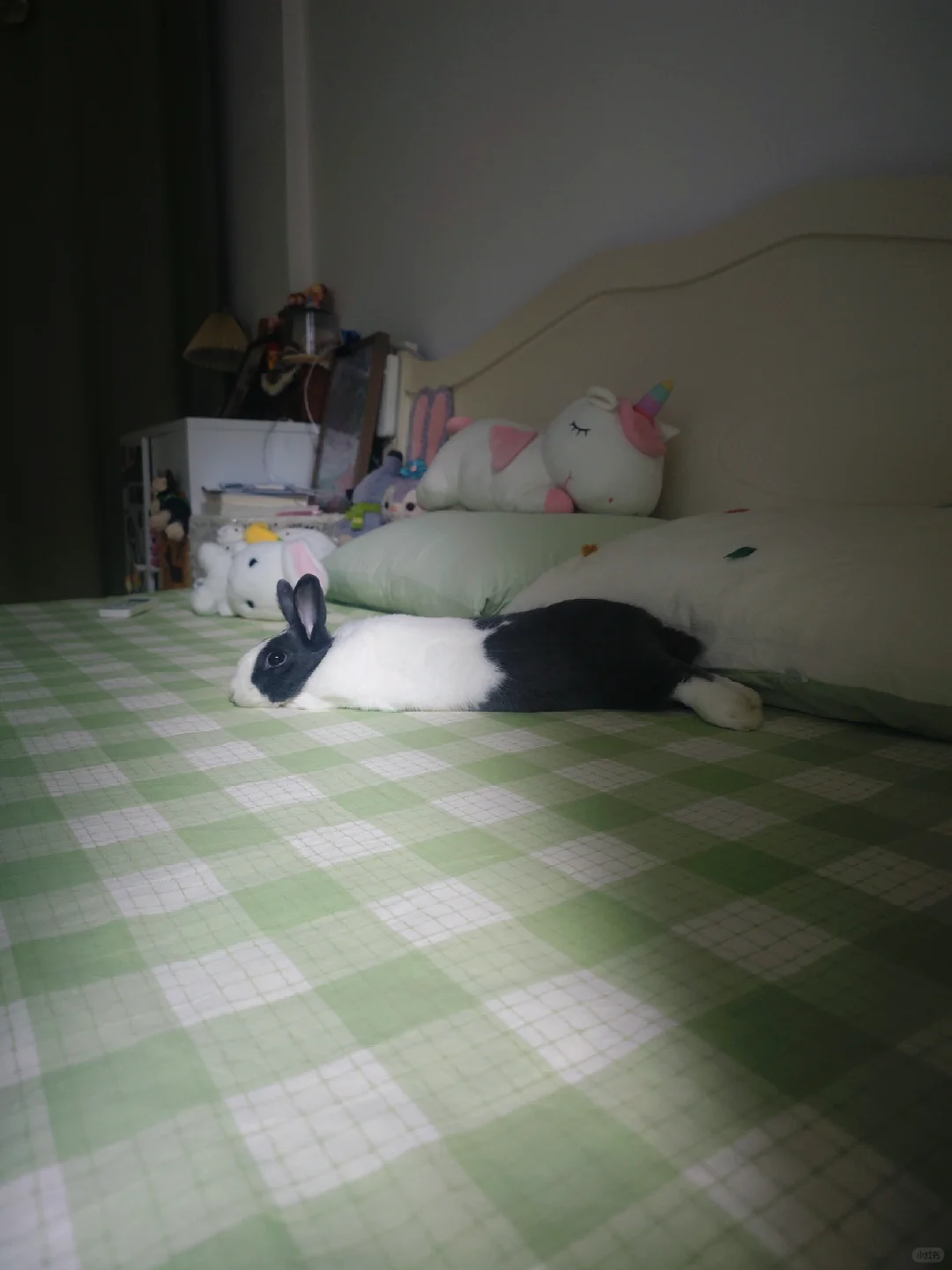 天天霸占我的🛏️