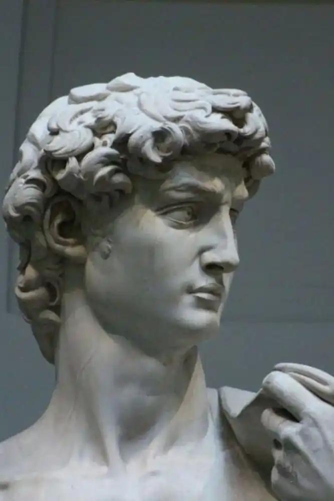 关于大卫雕像，米开朗基罗的杰作。
雕像非常写实，据说胳膊上的血脉都是解剖学严格意