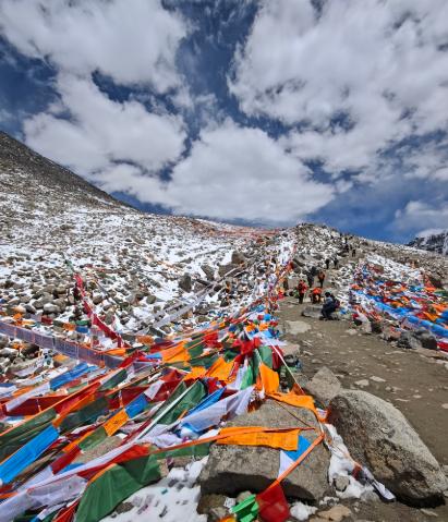 一、选科要求：物理+化学是主流，但也有不限科的专业
先说选科。2026年新高考，