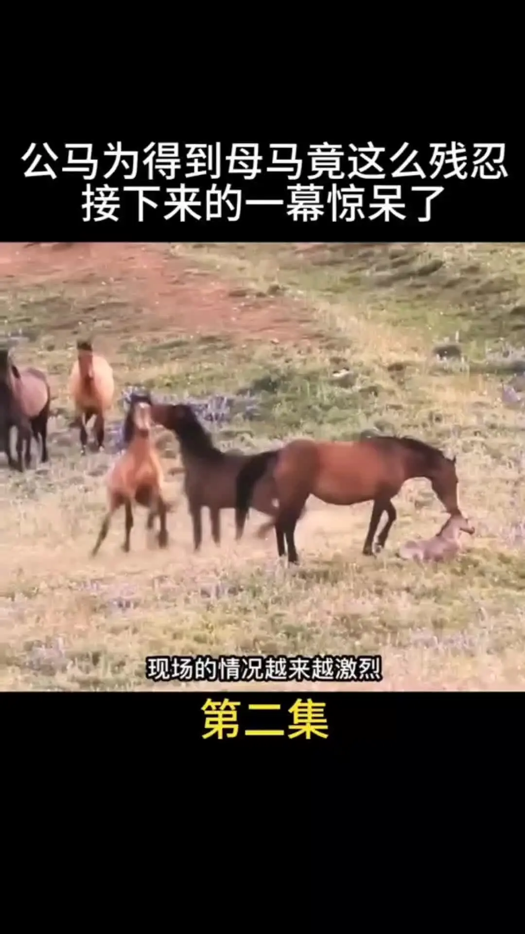 动物世界