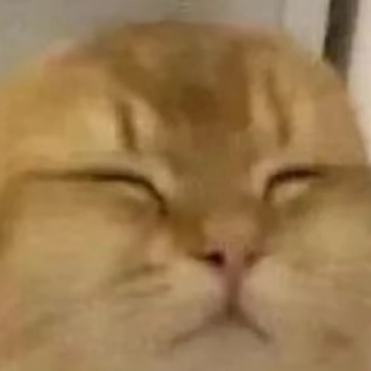 捂住耳朵闭着眼睛地投吧 