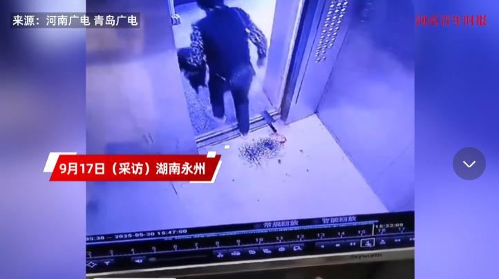 “太缺德了！”2025年9月，湖南永州，一大妈电梯内杀鸡，弄得地上血迹斑斑，随后