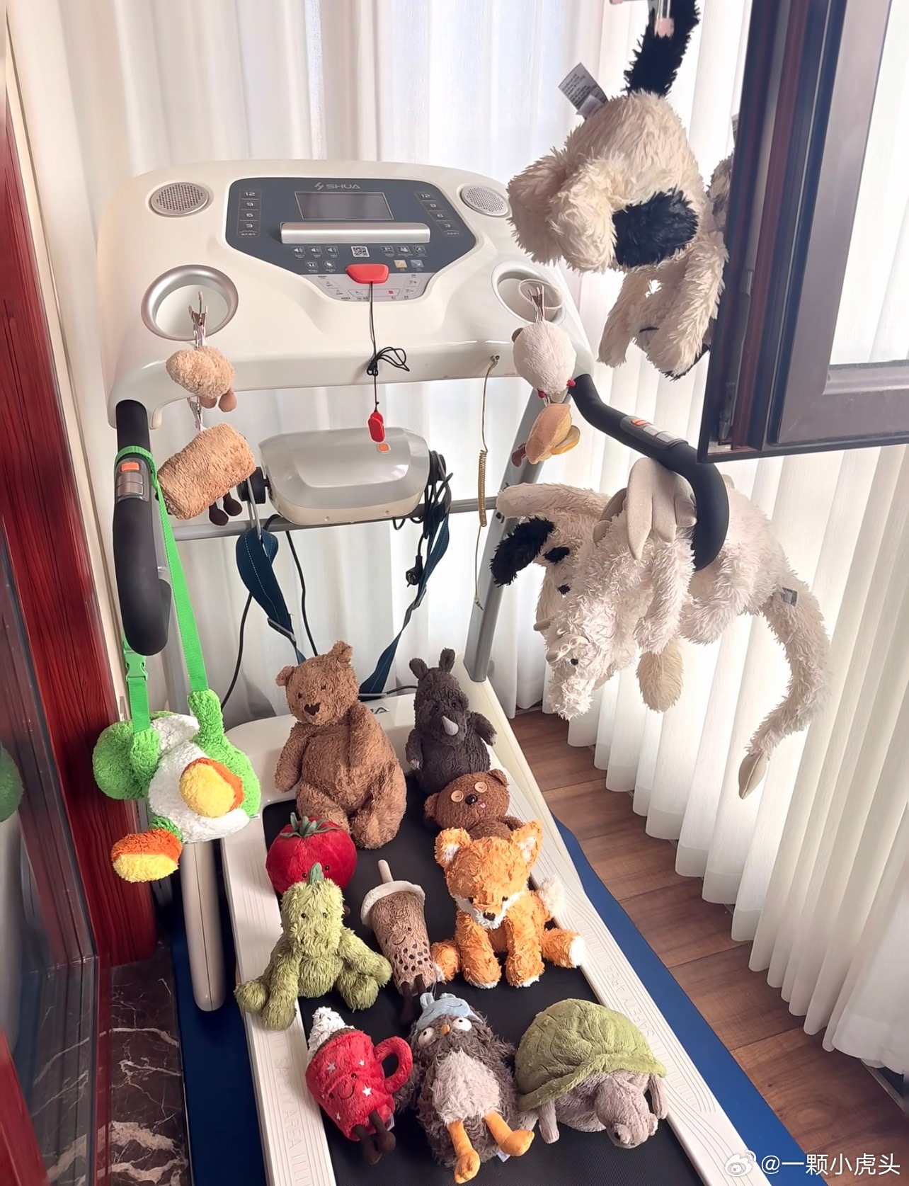 健身器材的最终宿命另一种意义上的废物利用，跑步机最终都是当衣架使。 