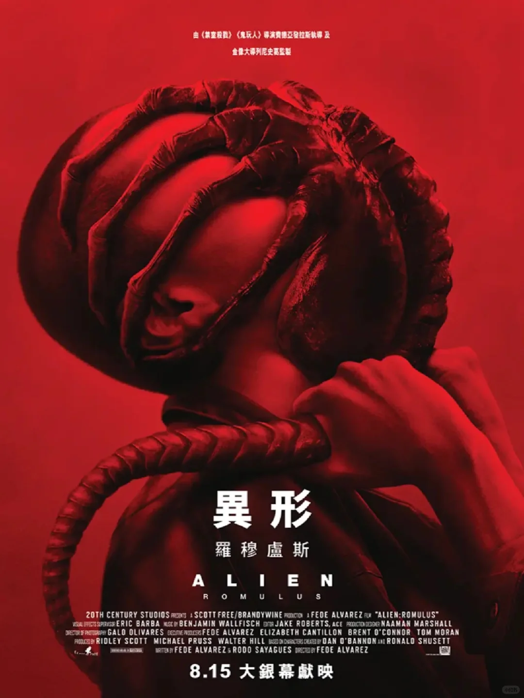 抱脸虫定档了🔥很炸裂