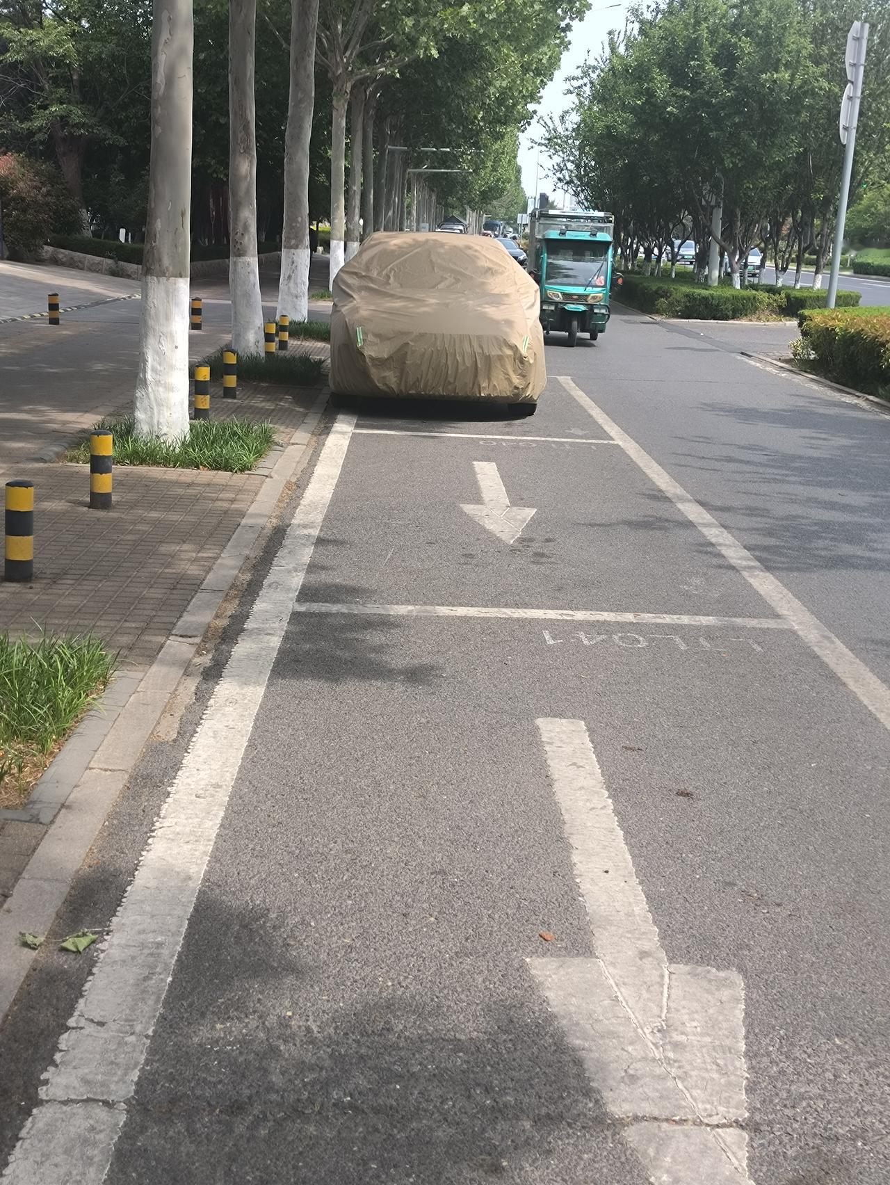 我就很奇怪，这些路上的僵尸车已经套上车衣了。
这完全把公共的非机动车道当成自家停