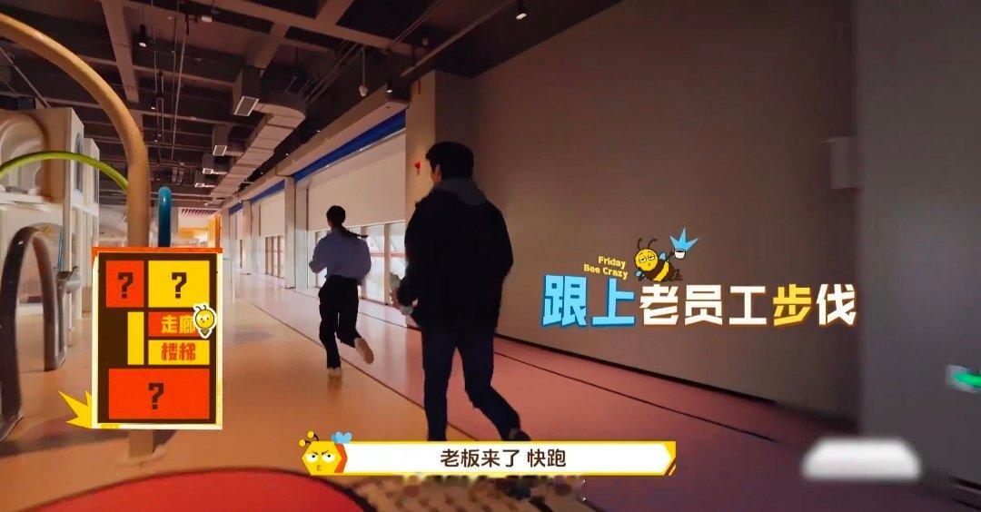 周五晚高疯职场疯学周五晚高疯打工人必看职场疯学！Bee疯糖家族周五上班抽疯实况，