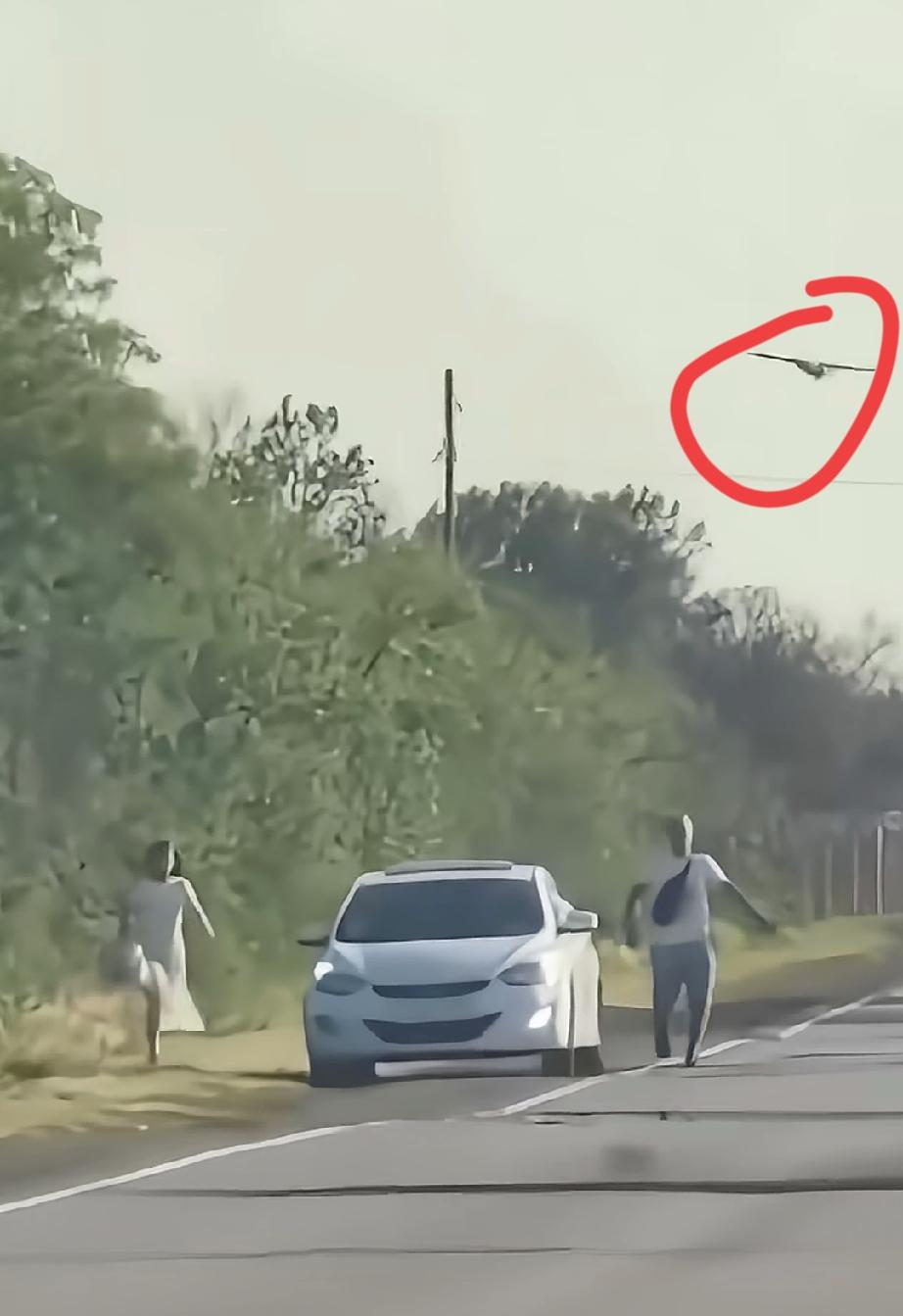 一则视频显示，乌克兰大黄蜂无人机击中了一辆正在移动的俄罗斯防空车。这架无人机原本