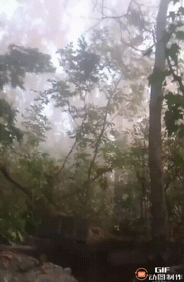 震惊！俄军战士阵地遭到化学武器袭击！
在戈尔洛夫卡附近，乌克兰武装分子使用了化学