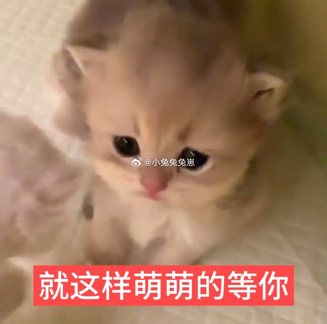 答应我，今天晚上替我狠狠do好嘛让我狠狠羡慕你们一波！！！ 