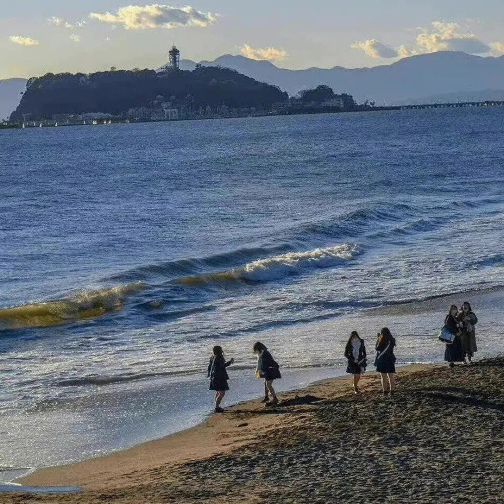 是时候了，该把这一切放下，稍稍发发疯。｜托马什·鲁热茨基《生蚝和椰枣》 ​​​