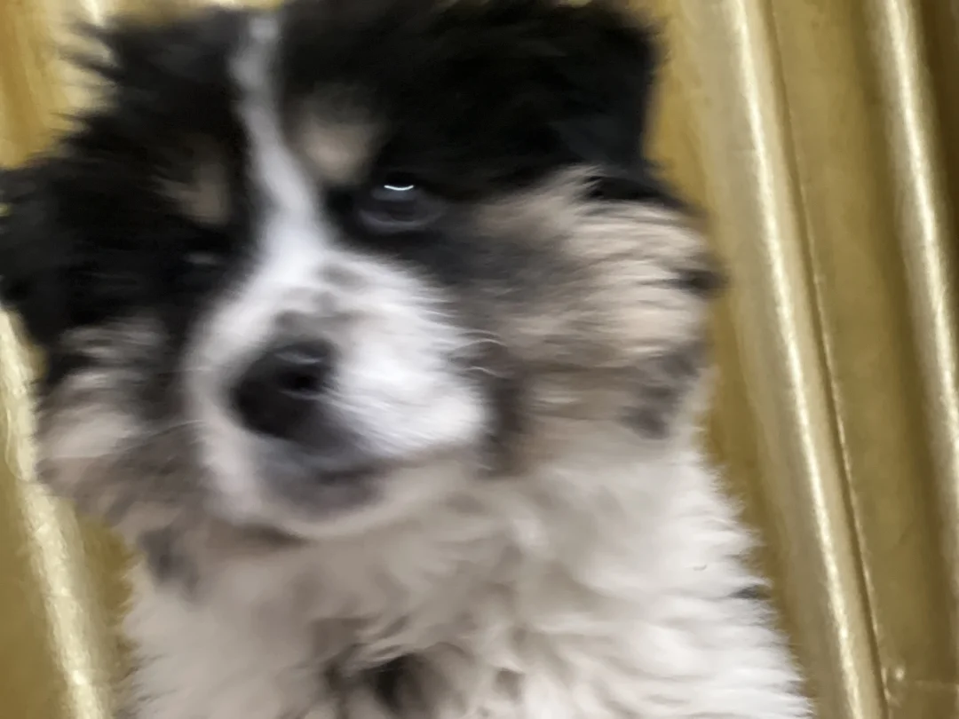 来和姨姨们汇报我会在厕所peepee