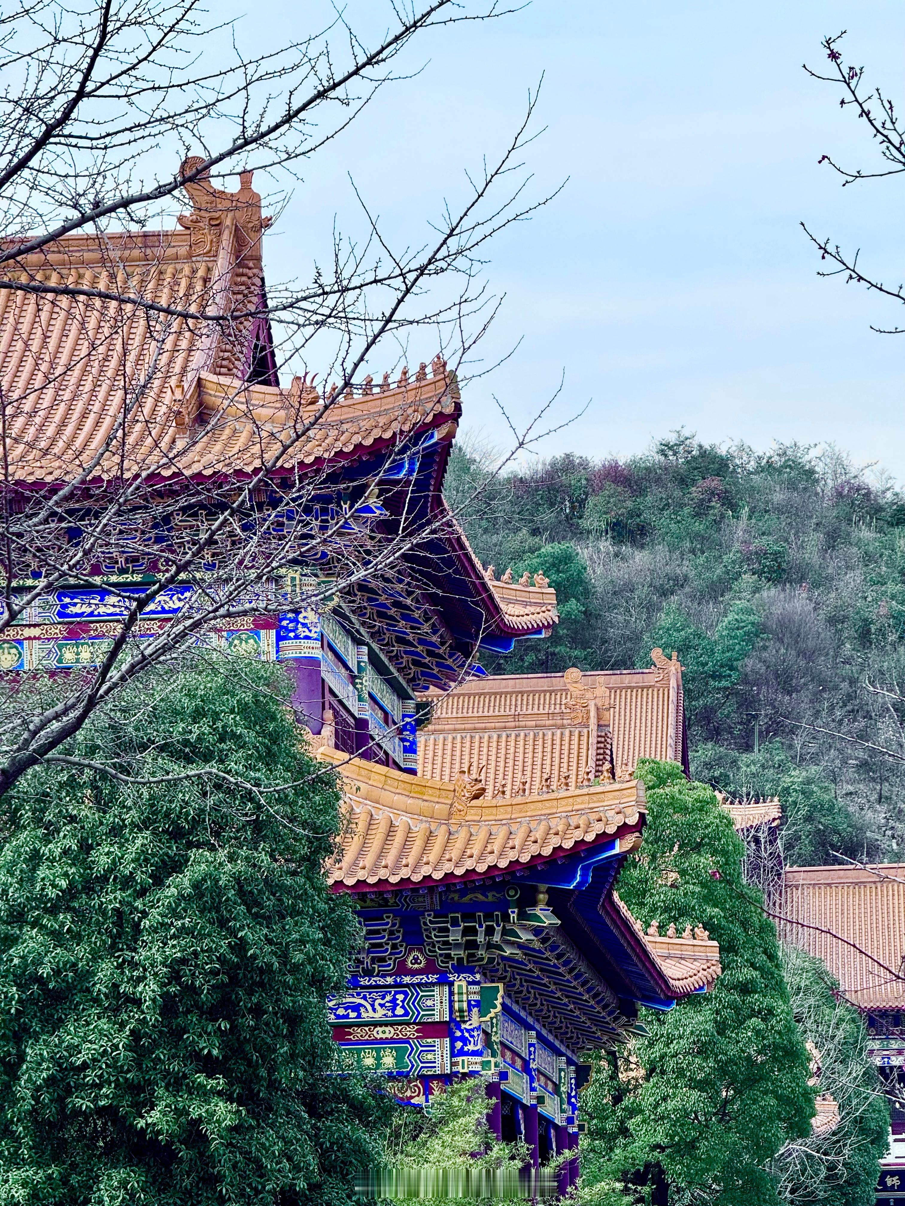 生病几天总算恢复点精神祝大家新年快乐 所愿皆所得  ​​​