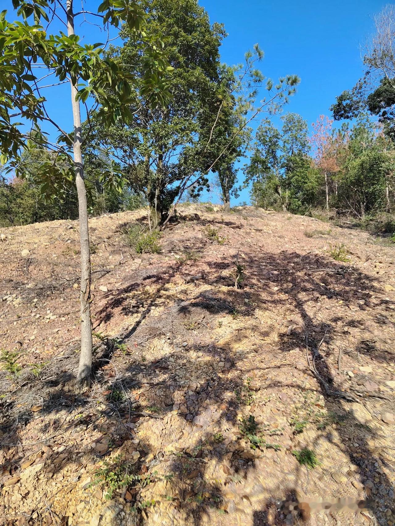 户外活动经验谈：上山不易下山难

只要稍微有一定高度和坡度，一般情况下往往是上山