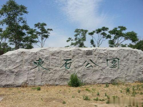 东石公园超级漂亮，任何设施和场地都免费。公园面积不算超级大，但是布局合理。以运动