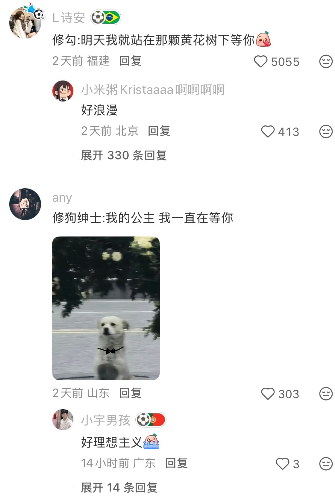 小狗也有属于自己的约会 