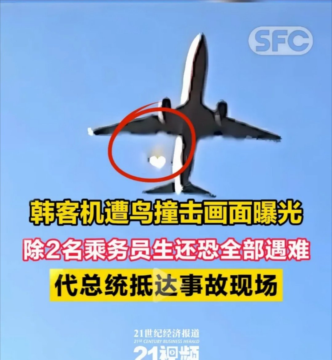 韩失事客机机型无释放燃料功能 失事的韩国客机复刻不了阿塞拜疆机长的自救操作，其中