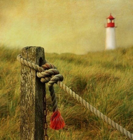 Nothing is to be got without pains but p