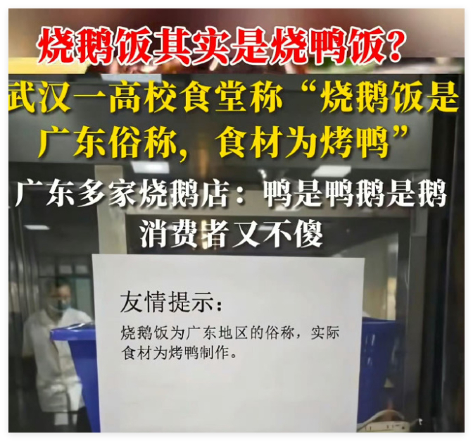 来个广东人确认一下。烧鹅饭，到底是鹅还是鸭？给我整迷糊了呢？ 