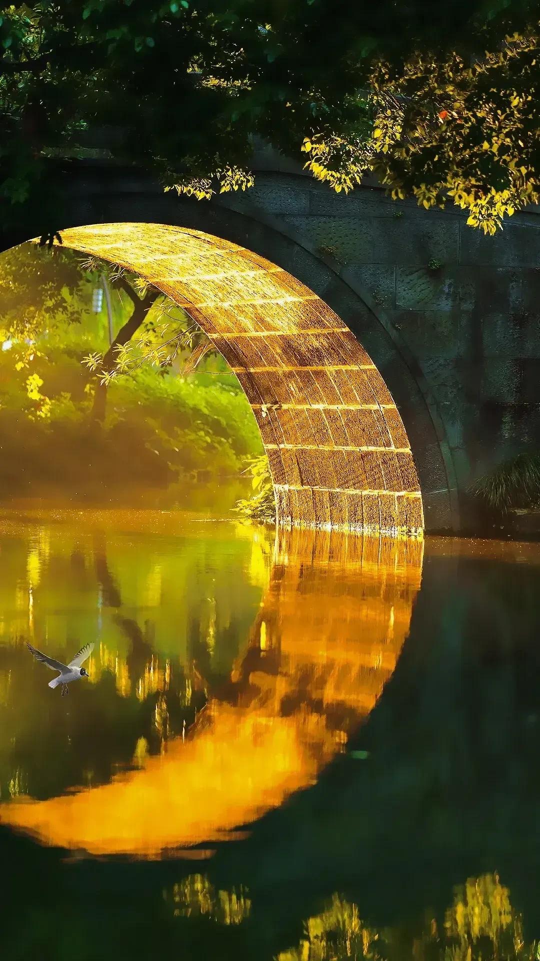 世界是公平的，拿你有的，换你要的。#一切自有公平# #唯美瞬间分享#