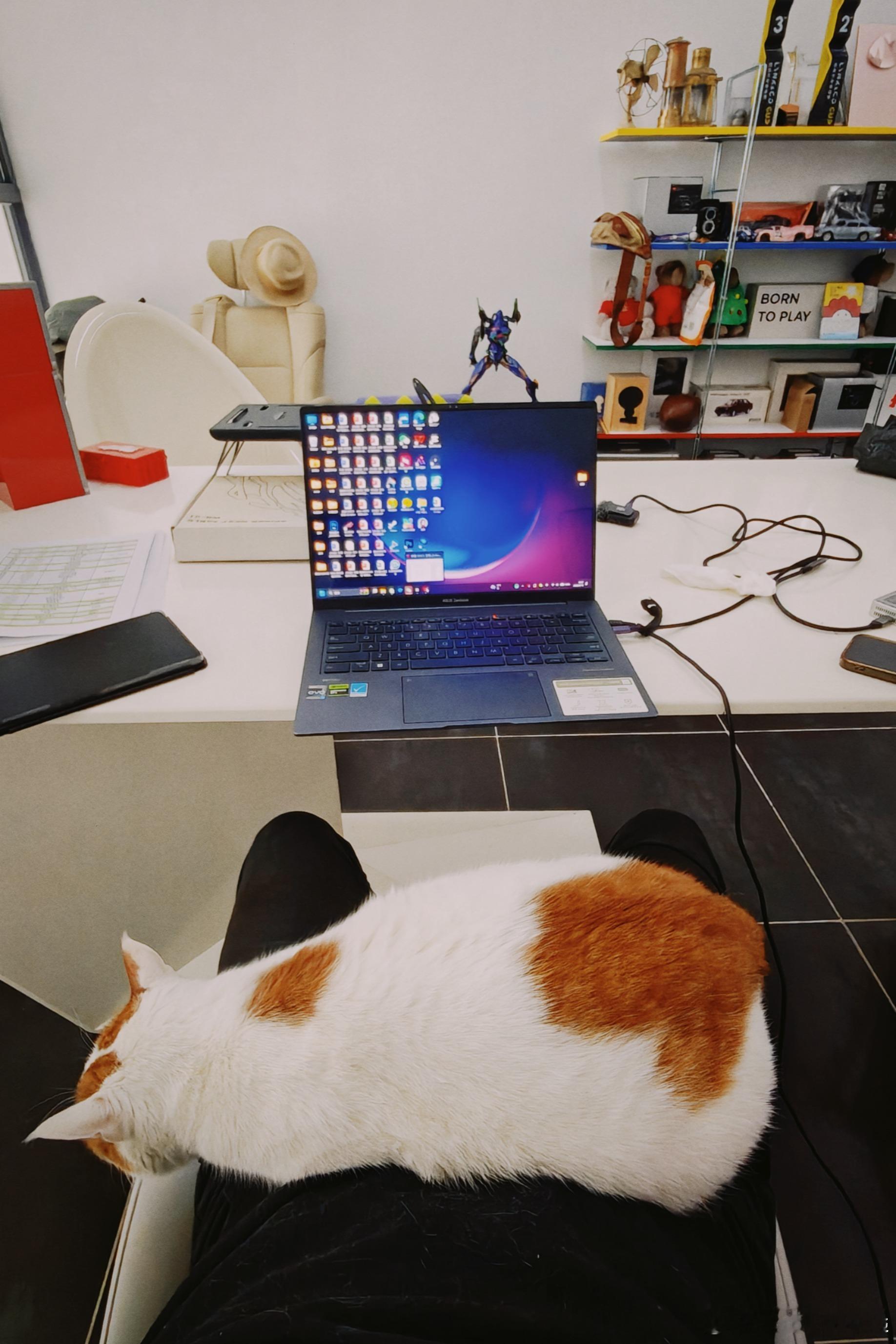 又是无比沉重的一天…… 