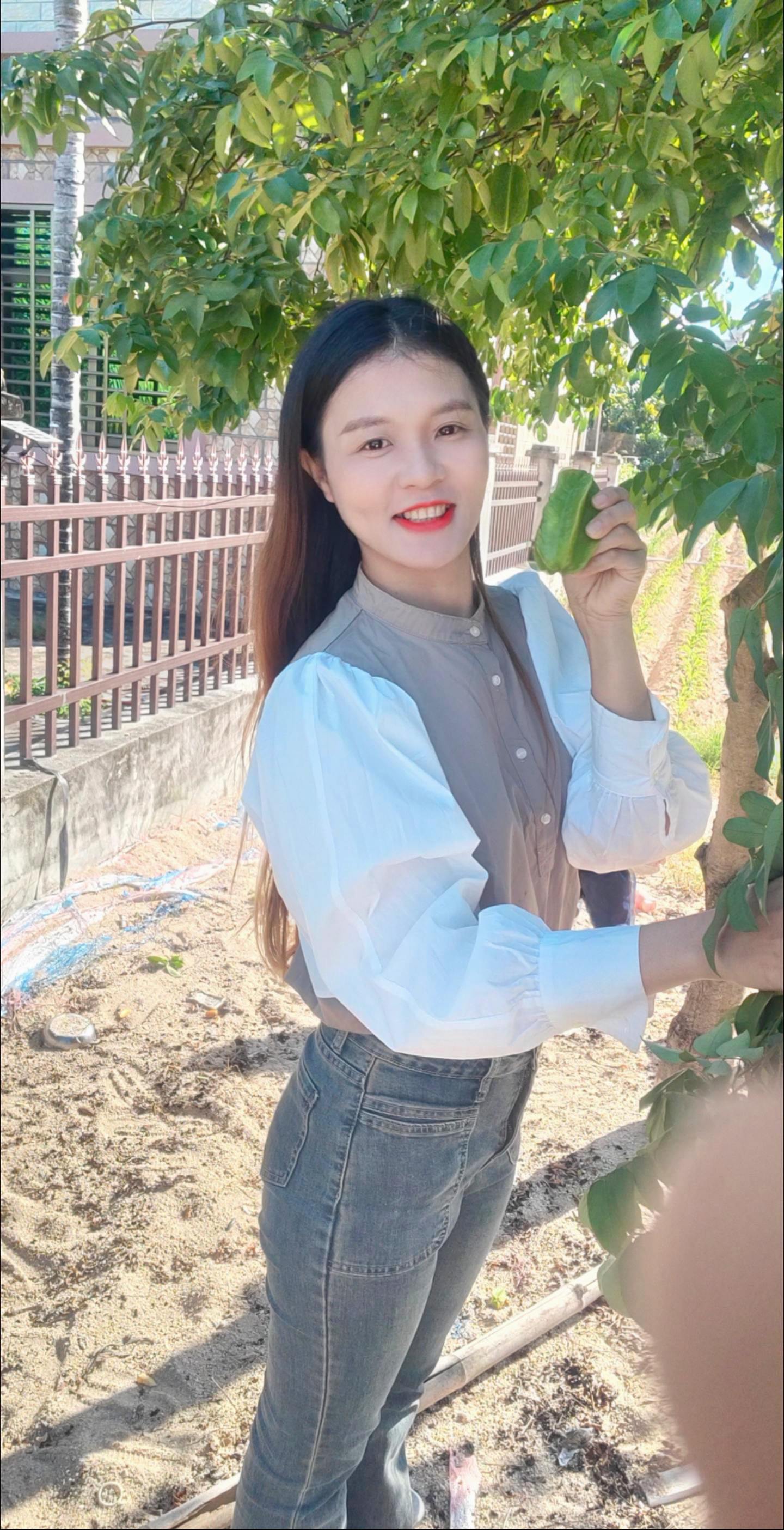 等下次杨桃熟的时候我们再见面❤️