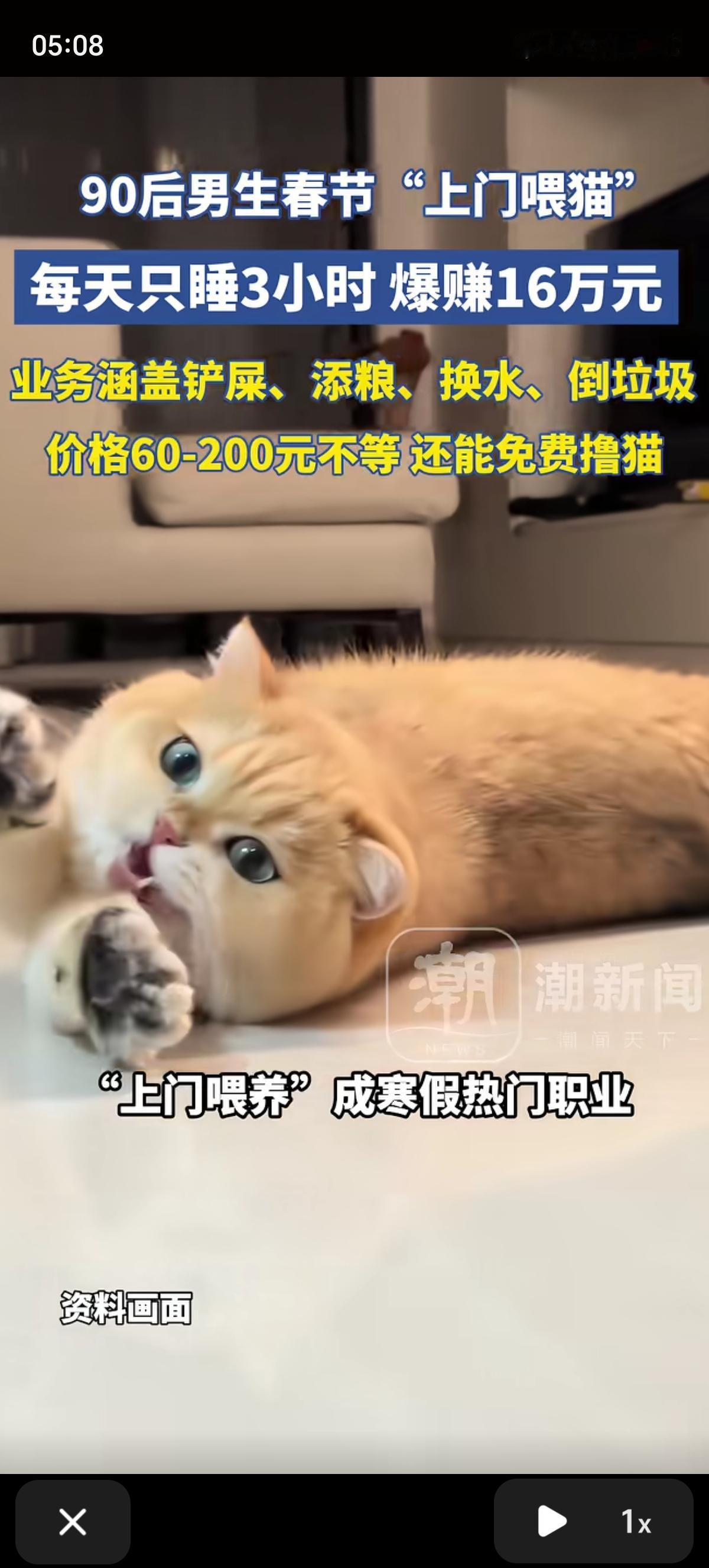 春节期间专业铲屎官已上线，90后男生专为外来务工人员提供“上门喂猫服务”，每天只