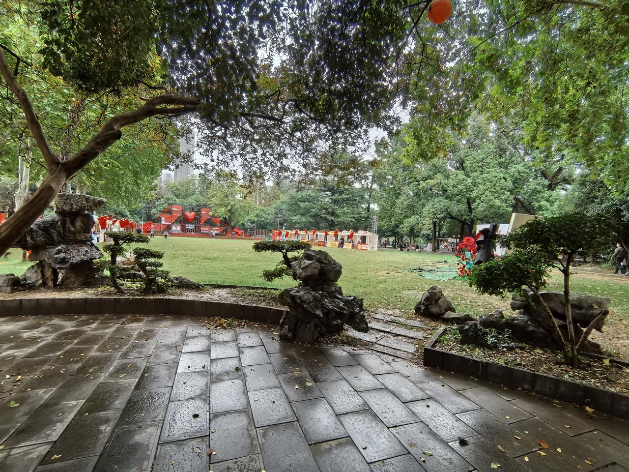 雨后的西苑公园，美极了！
        恰似洛阳春雨后的温婉静谧之态。雨水落在