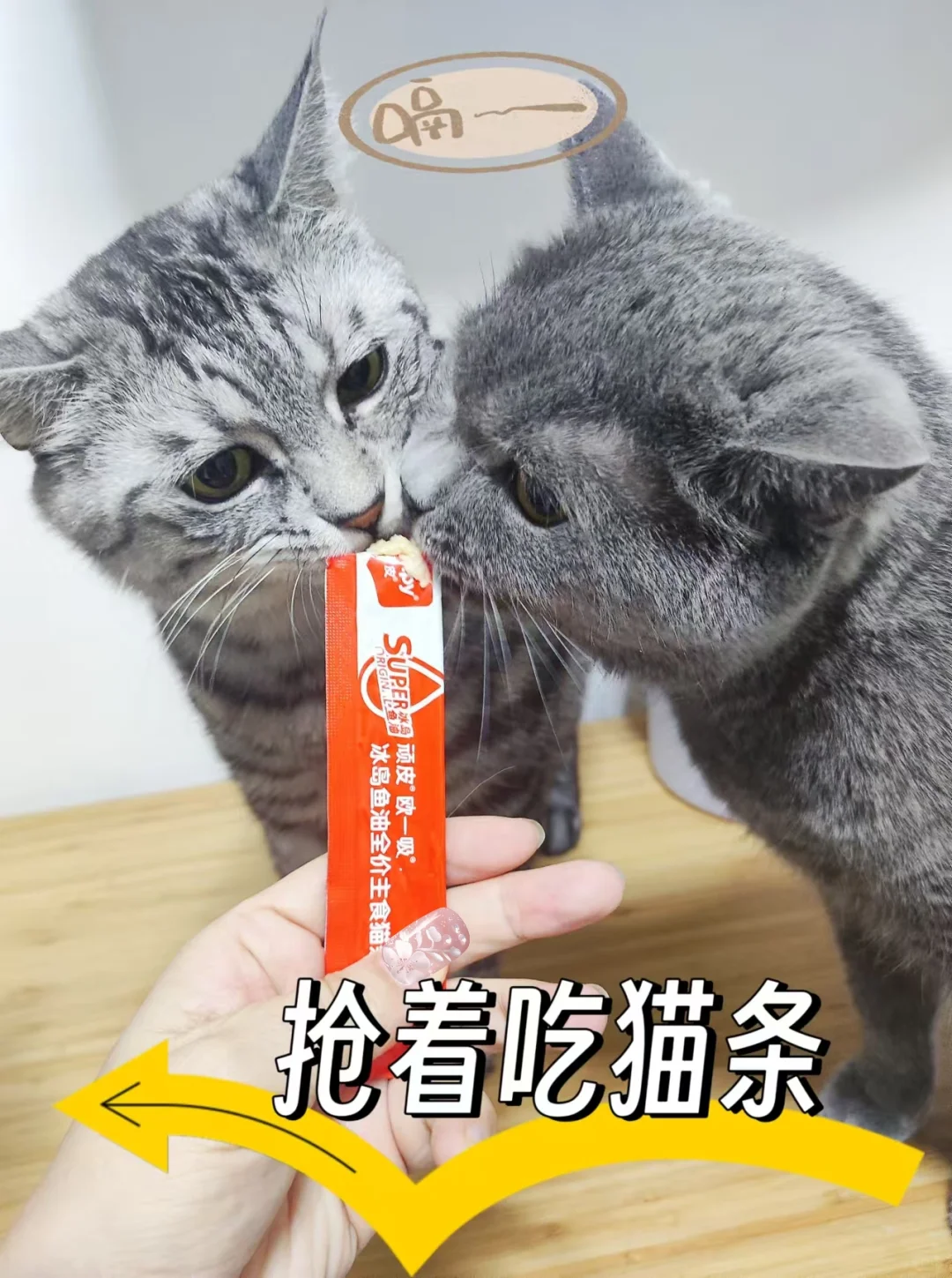 猫条选的好，猫主子快乐没烦恼！