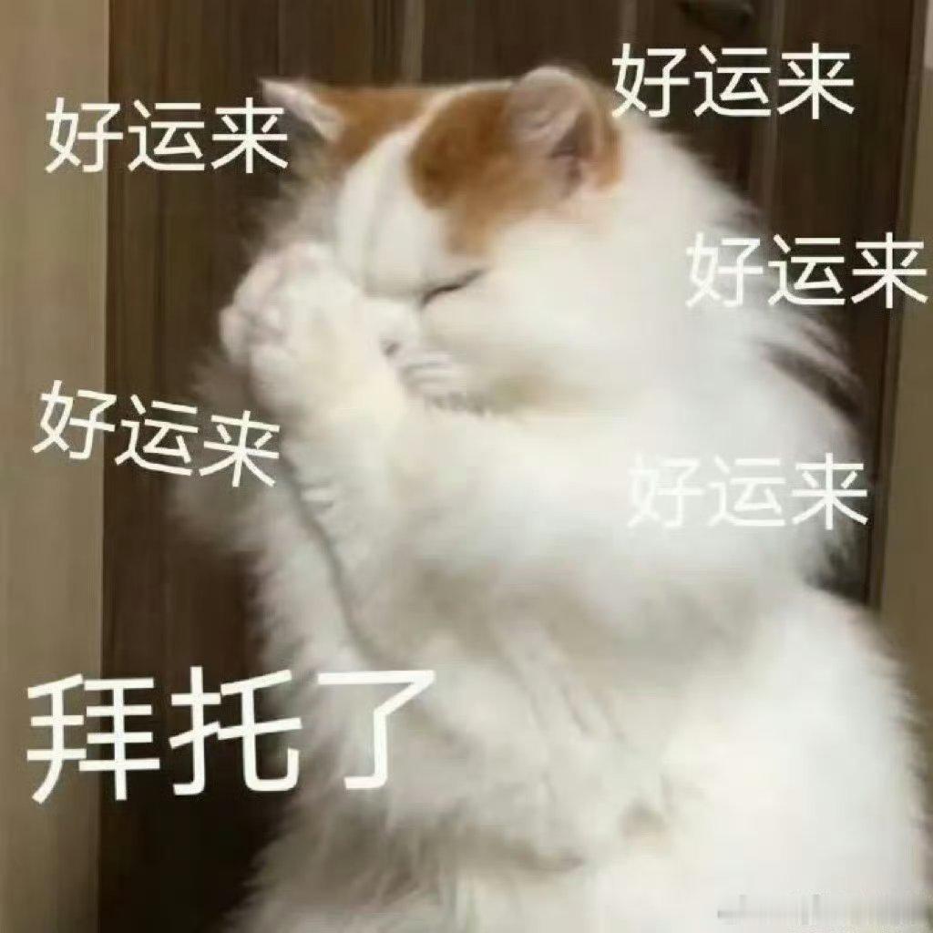 只要有人的地方就有中国人不惧远途奔赴各个角落，勤劳坚韧刻在骨子里，茫茫人海总能邂