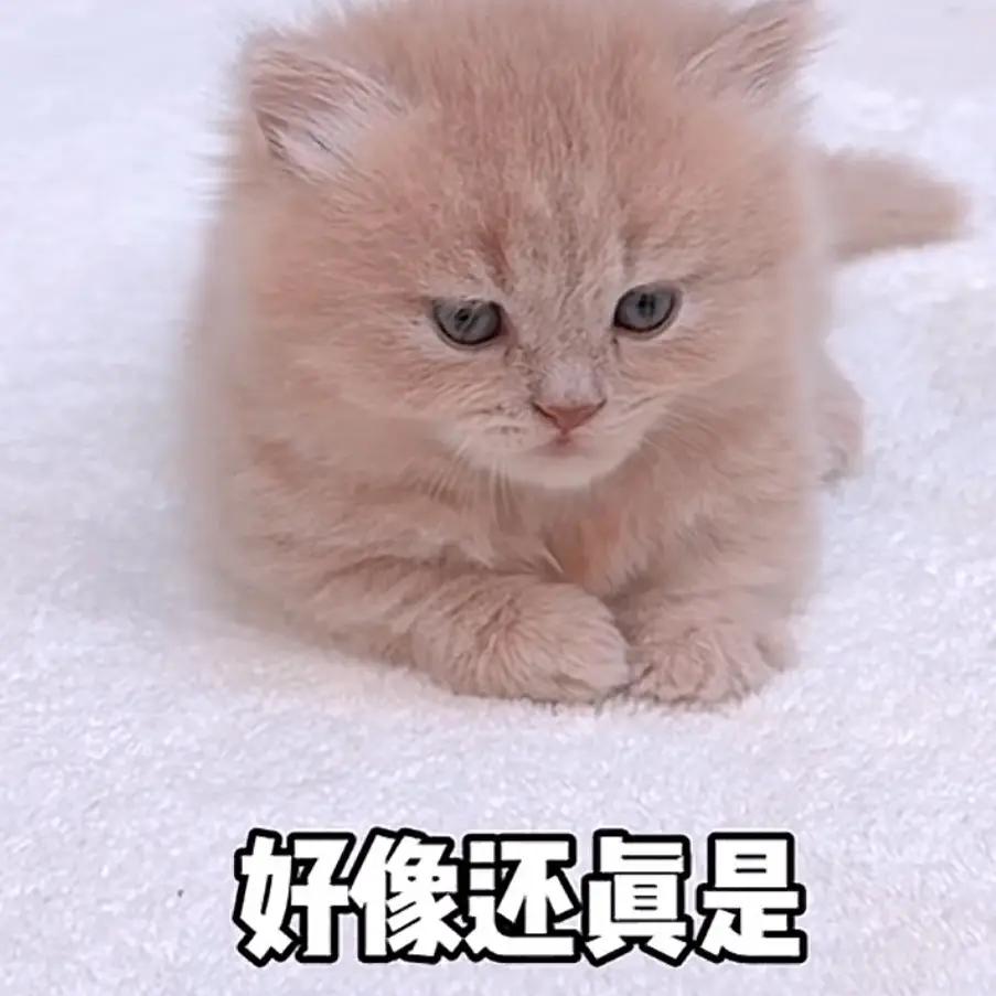 还真是这么回事。但凡阅读量，点赞量多的文章，都是讲述普通人的故事，述说烟火气的人